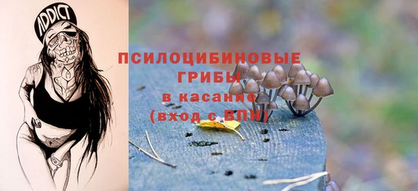 круглые Алексеевка