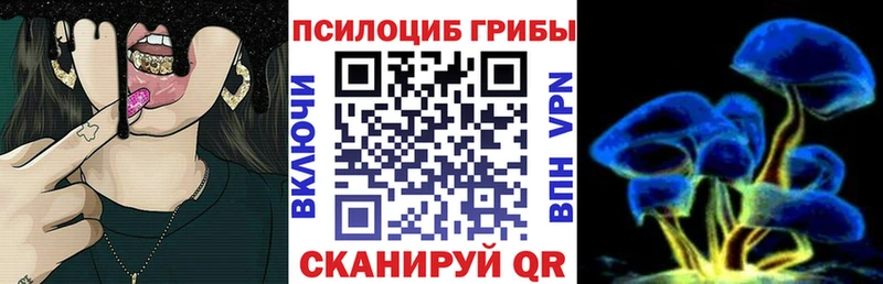 Псилоцибиновые грибы мицелий  маркетплейс наркотические препараты  Тула  купить наркотики цена 