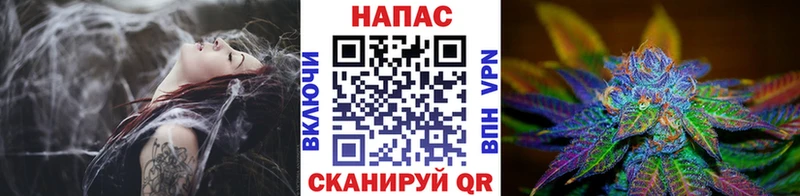 Конопля семена  блэк спрут ССЫЛКА  Тула 